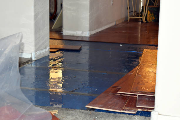 Professional Burst Pipe Cleanup technician working in Harvard, NE